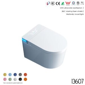 13607 Wall-Mounted Smart Toilet