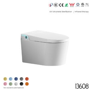 13608 Wall-Mounted Smart Toilet
