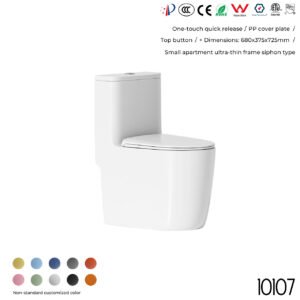 10107 Toilet