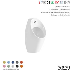 30539 Urinal