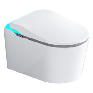 Wall-mounted smart toilet