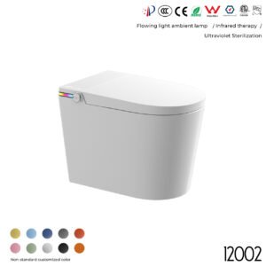 12002 Smart Toilet