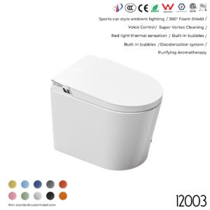 12003 Smart Toilet