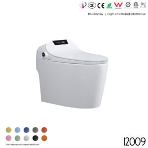 12009 Smart Toilet