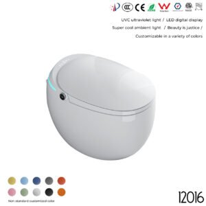 12016 Smart Toilet