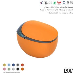 12017 Smart Toilet