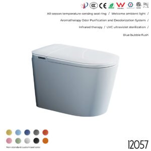 12057 Smart Toilet