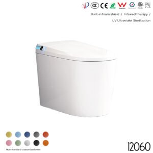 12060 Smart Toilet