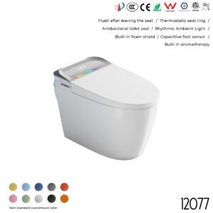 12077 Smart Toilet