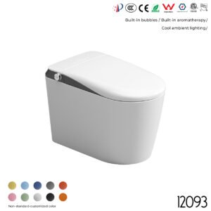 12093 Smart Toilet
