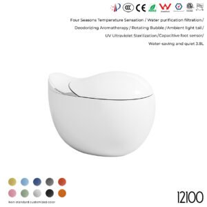 12100 Smart Toilet