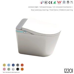 12201 Smart Toilet