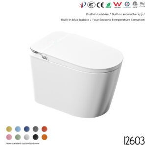 12603 Smart Toilet