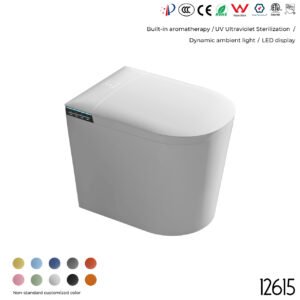 12615 Smart Toilet