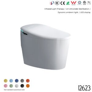 12623 Smart Toilet