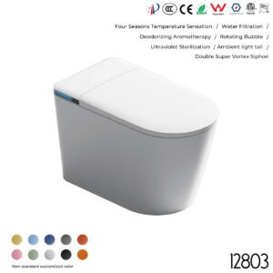 12803 Smart Toilet