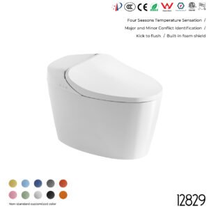 12829 Smart Toilet
