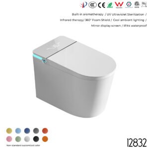 12832 Smart Toilet