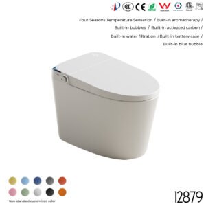 12879 Smart Toilet