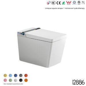 12886 Smart Toilet