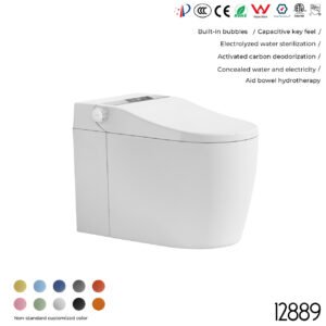 12889 Smart Toilet