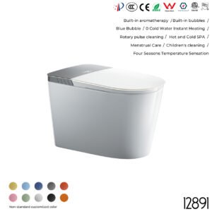 12891 Smart Toilet