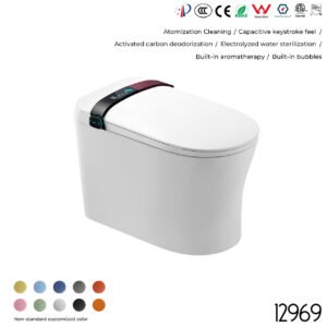 12969 Smart Toilet