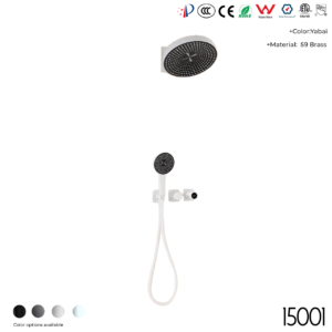 15001B Concealed shower set