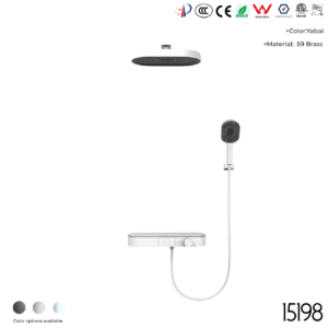 15198 Concealed shower set