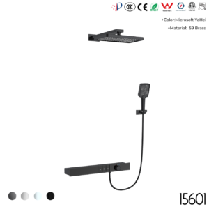 15601 Concealed shower set