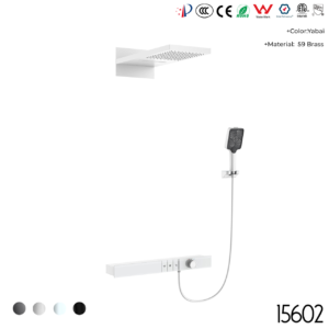 15602 Concealed shower set