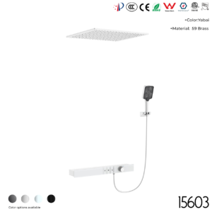 15603 Concealed shower set