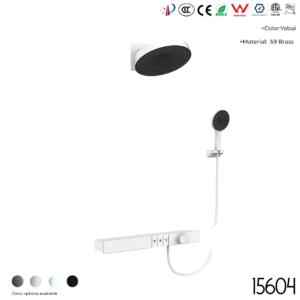 15604 Concealed shower set