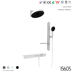 15605 Concealed shower set