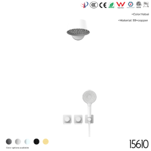 15610 Concealed shower set