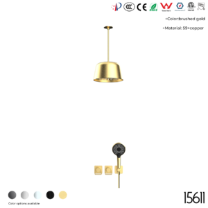 15611 Concealed shower set