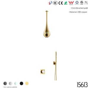 15613 Concealed shower set