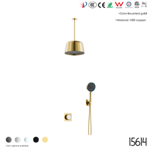 15614 Concealed shower set
