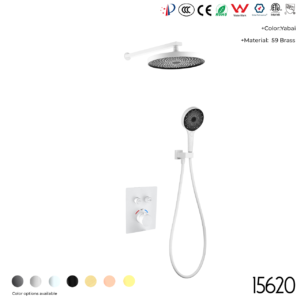 15620 Concealed shower set