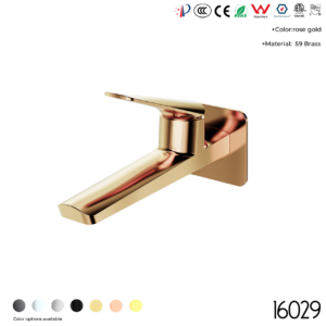16029 Concealed Faucet