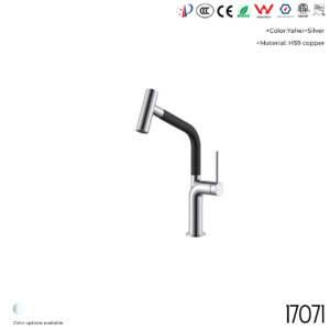 17071 Kitchen Faucet