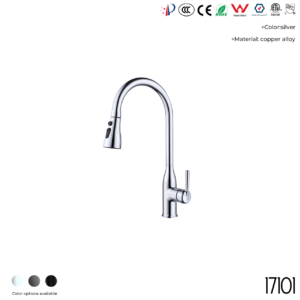17101 Kitchen Faucet