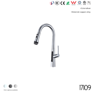 17109 Kitchen Faucet