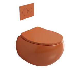 Ordinary wall-mounted toilet