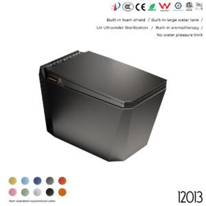 12013 Smart Toilet