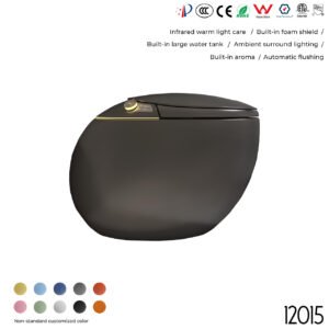 12015 Smart Toilet