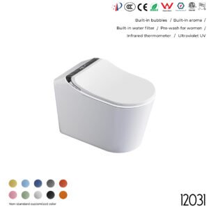 12031 Smart Toilet