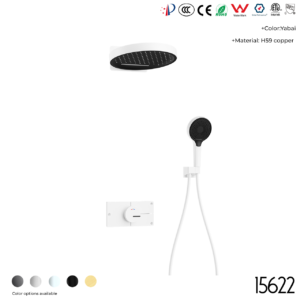 15622 Concealed shower set