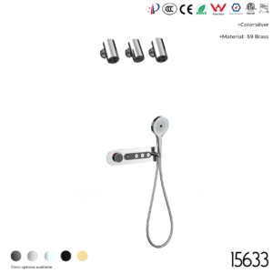 15633 Concealed shower set