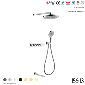 15643 Concealed shower set